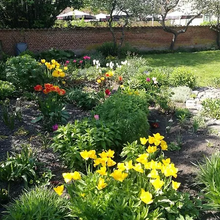 住宿加早餐酒店 Kjobing Manor 4*